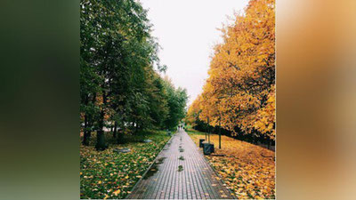 '12 noyabrga  ob-havo  ma`lumoti'ning rasmi