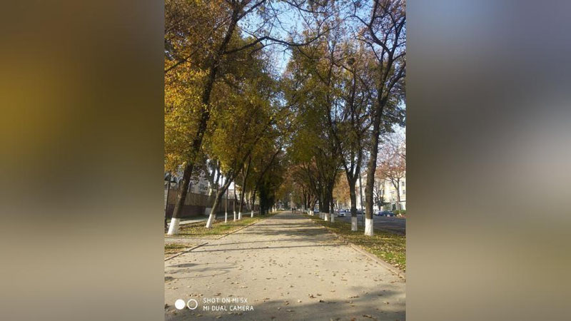 'Sinoptiklar: bu yildagi kabi quruq kuz juda kam kuzatiladi'ning rasmi