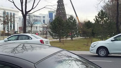 'Bayram archasini yig`ishtirish ishlari avjida (video)'ning rasmi