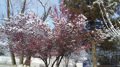 Изрображение 'В Узбекистане резко потеплеет: погода на 20 февраля'