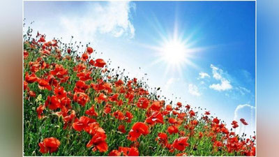 '7 mart kuni O`zbekistonda ob-havo qanday bo`ladi?'ning rasmi