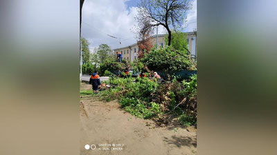 Изрображение 'Коммунальные службы Ташкента весь день устраняли последствия стихии (фото)'