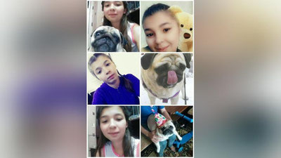 Изрображение 'В Ташкенте 16-летняя девочка ушла гулять с собакой и не вернулась: объявлен розыск'