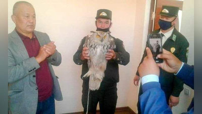 Изрображение 'К жителю Ургутского района залетел огромный филин'