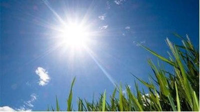 'Бугун айрим жойларда чанг-тўзон кузатилиши мумкин — "Ўзгидромет"'ning rasmi