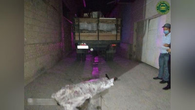 Изрображение 'Под Самаркандом водитель ЗИЛ при движении задним ходом задавил 43-летнего пешехода'