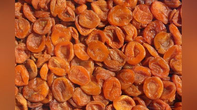 Изрображение 'Из-за вредителя в партии кураги Узбекистан рискует потерять основной рынок сбыта'