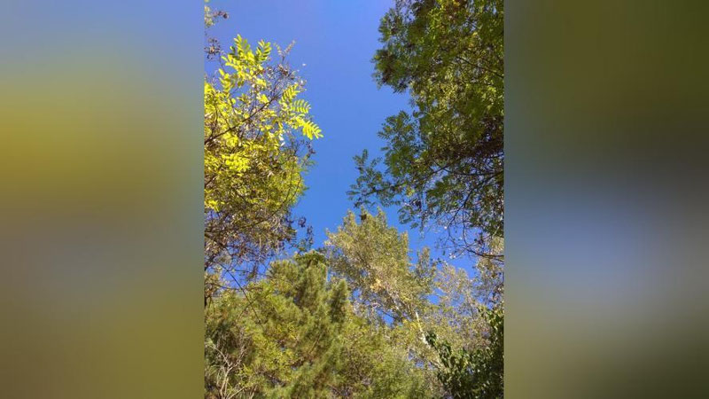 Изрображение 'После воскресной жары в Узбекистане стало прохладнее: погода на 27 сентября'