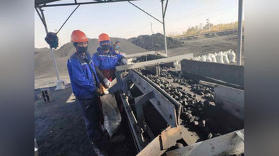 'Buxoro viloyatida ko`mir hammaga etadi'ning rasmi