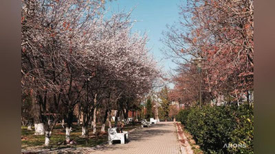 'Ўзбекистонда баҳорнинг илк куни қандай об-ҳаво билан бошланади?'ning rasmi