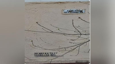 'Toshkentda uy devorlariga giyohvandlik vositalari reklamasini yozib yurganlar qo`lga olindi'ning rasmi