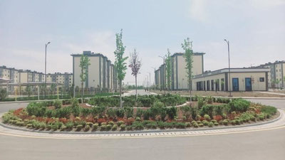 'Shaharlikka aylangan sardobaliklar. Ular bugun nimadan tirikchilik qilishmoqda?'ning rasmi