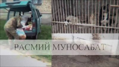 'Angrendagi uysiz hayvonlarni ushlash xizmati xodimlarining noo`rin harakatlari sabablari o`rganildi'ning rasmi