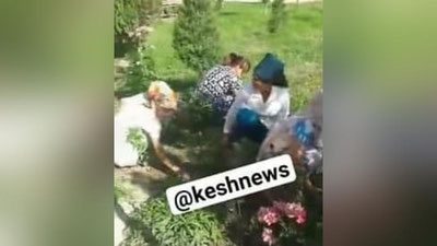 'Shahrisabzda tibbiyot xodimlarini o`t yuldirishga jalb etgan xodim javobgarlikka tortildi (video)'ning rasmi