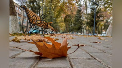 Изрображение 'Осень наступает: погода на новую рабочую неделю'