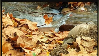 'O`zbekistonda 4 oktyabr kuni qanday ob-havo bo`lishi ma`lum qilindi'ning rasmi