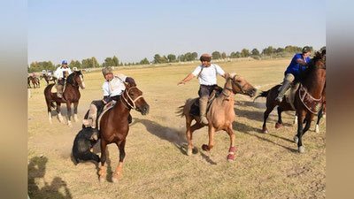 'Surxondaryoda "Qorabayir otlari" mahorat maktabi ochildi'ning rasmi