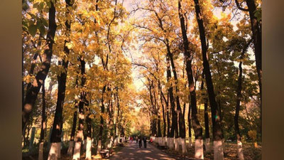 Изрображение 'В Ташкенте потеплеет до +11: прогноз на 10 ноября'