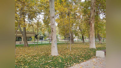 Изрображение 'В Узбекистане - еще один теплый день перед резким похолоданием'