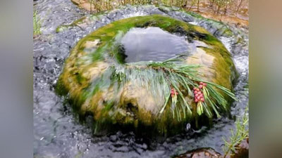 'Jizzaxda buloq ko`zini yopib o`ziniki qilib olgan fuqaro jarimaga tortildi'ning rasmi