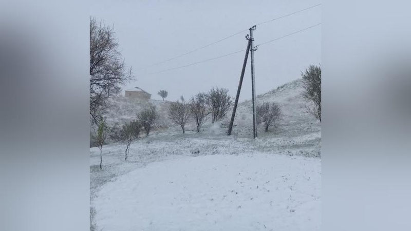 'Қашқадарёда ёғаётган кучли қор ерларни оқартирди (видео)'ning rasmi