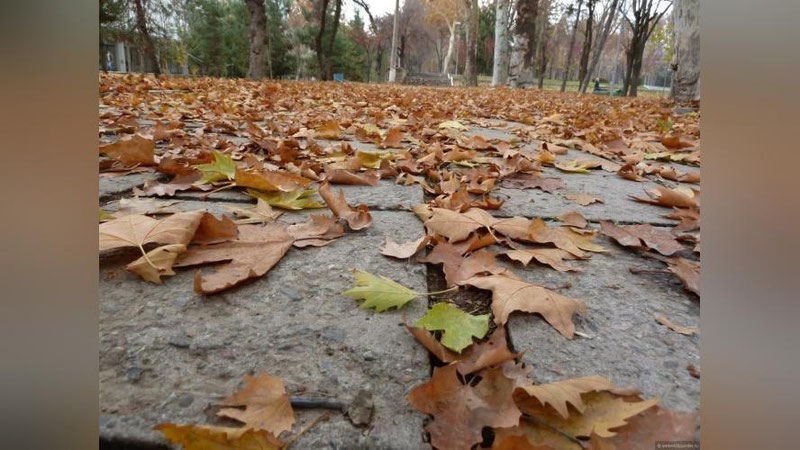 '"Ўзбекистонга Туркманистон ҳудудларидан..." "Ўзгидромет" дам олиш кунлари кутилаётган об-ҳаво ҳақида хабар берди'ning rasmi