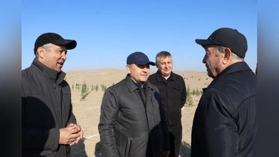 Изрображение 'На агроучастке "Узбекнефтегаза" в Кашкадарье высадят 72 тысячи деревьев'