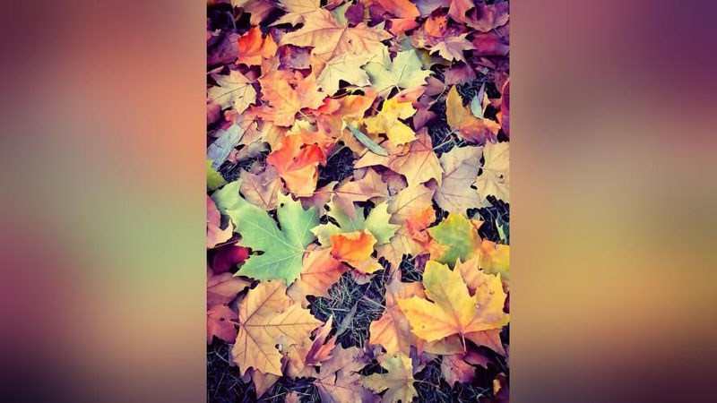 Изрображение 'В Ташкенте до +16: погода на 22 ноября'