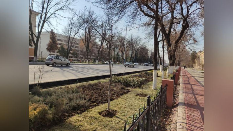 Изрображение 'В Ташкенте +9: погода на 20 января'