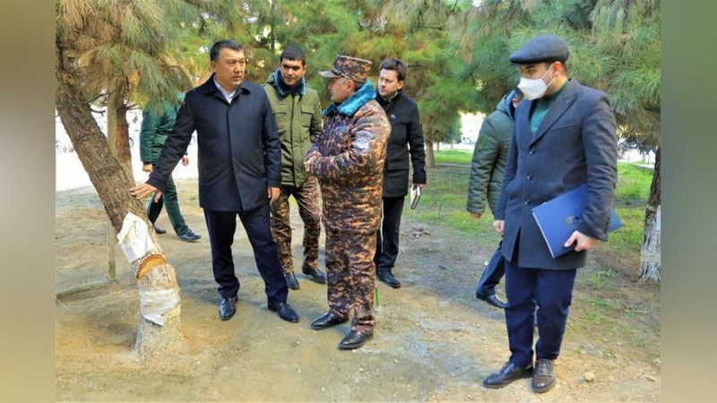Изрображение 'Председатель Госкомэкологии прибыл на место, где накануне залили бетоном сосны'