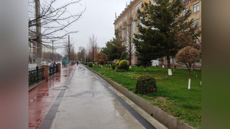 Изрображение 'В Ташкенте к вечеру возможен небольшой дождь: погода на 29 марта'