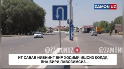 'Ит сабаб ИИБнинг бир ходими ишсиз қолди, яна бири лавозимсиз...'ning rasmi