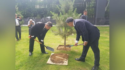 Изрображение 'С посадки саженцев в Ташкенте стартовало Совещание ШОС по вопросам охраны окружающей среды'