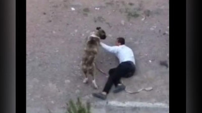 Изрображение 'Что произошло в одном из дворов в Фергане: комментарий УВД'