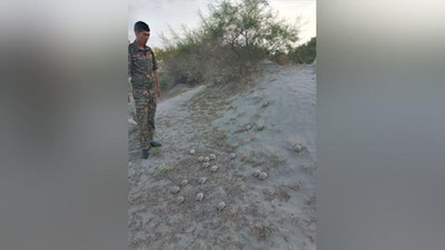 Изрображение 'Черепах спасли из зоомагазина в Фергане и выпустили на волю (фото)'