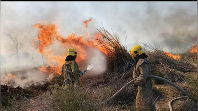 '“Зарафшон” миллий боғига ўт кетди'ning rasmi