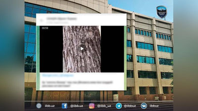 'Ijtimoiy tarmoqda qurollarni reklama qilayotgan yigit bo`yicha ma`lumot berildi'ning rasmi