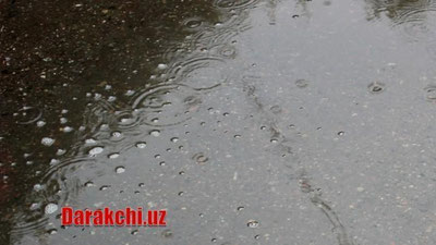 'Ertaga O`zbekistonning qator hududlarida yomg`ir yog`ishi kutilmoqda'ning rasmi