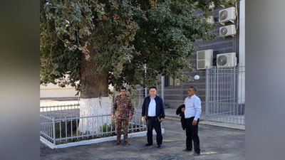 Изрображение 'В Самарканде 400-летний дуб взят под государственную охрану'