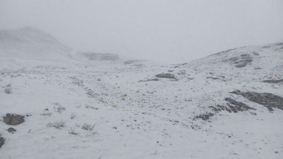 'Ayni damda Toshkent viloyatining ayrim joylarida qor 2 metrgacha etdi (video)'ning rasmi