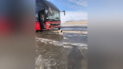 Изрображение 'В Самаркандской области в ДТП с участием автобуса погибли 2 человека, трое пострадали'