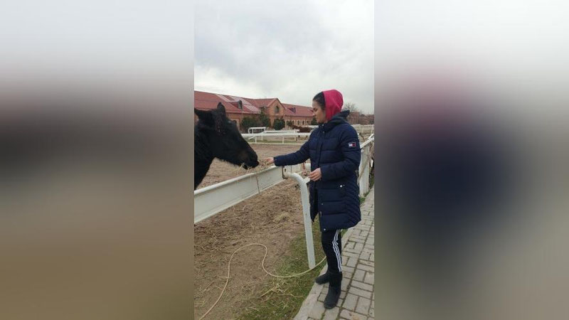 Изрображение 'Почему лошади оказались на грани гибели в частной конюшне в Ташкенте?'