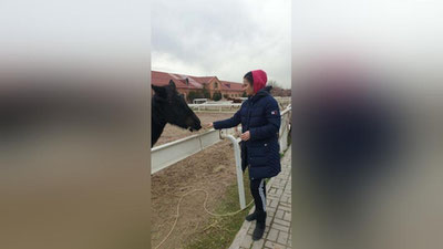 Изрображение 'Почему лошади оказались на грани гибели в частной конюшне в Ташкенте?'