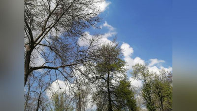 Изрображение 'В Ташкенте осадков не ожидается: погода на 22 марта'