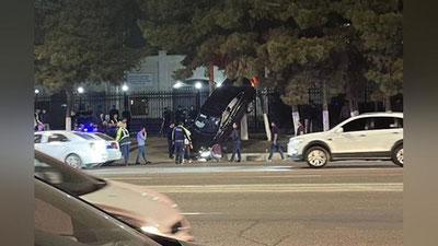 Изрображение 'В Ташкенте сняли с дерева "Малибу" (видео)'