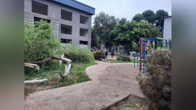 Изрображение 'Возбуждено уголовное дело по факту варварской вырубки деревьев на детской площадке в Карши'