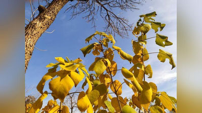 Изрображение 'В выходные дни немного потеплеет'