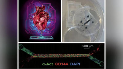 'AQSh olimlari tomonidan mitti sun`iy yurak yaratildi'ning rasmi
