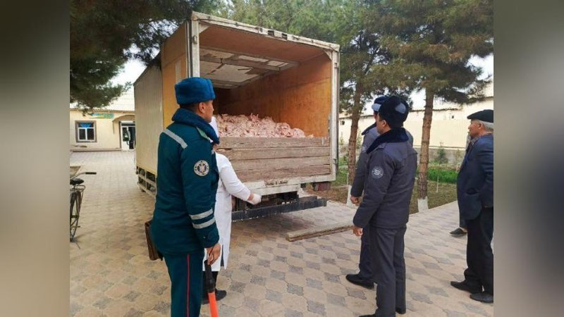 Изрображение 'На продажу в Ташкент везли три тонны тухлого куриного мяса'