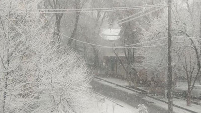 Изрображение 'На центральные регионы Узбекистана, включая Ташкент, обрушился снегопад (видео)'